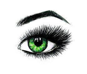 279x240 beautiful open female green eyes with long eyelashes is isolated - Green Eyes Drawing