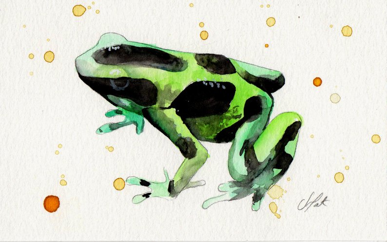 Green Frog Drawing At Paintingvalley.com 