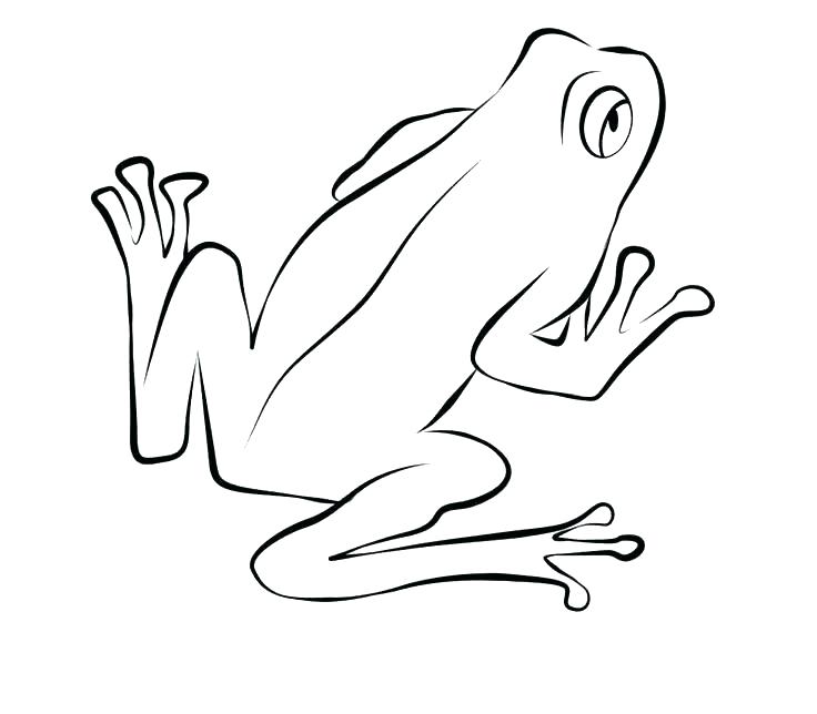 736x644 frog drawing green frog for free download - Green Frog Drawing