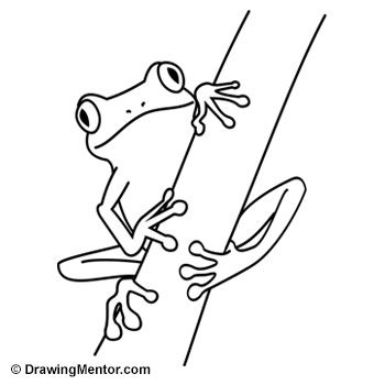 350x350 Learn How To Draw A Frog In Two Different Poses The First - Green Frog Drawing