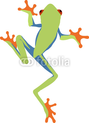 287x399 Tree Frog Drawing - Green Frog Drawing