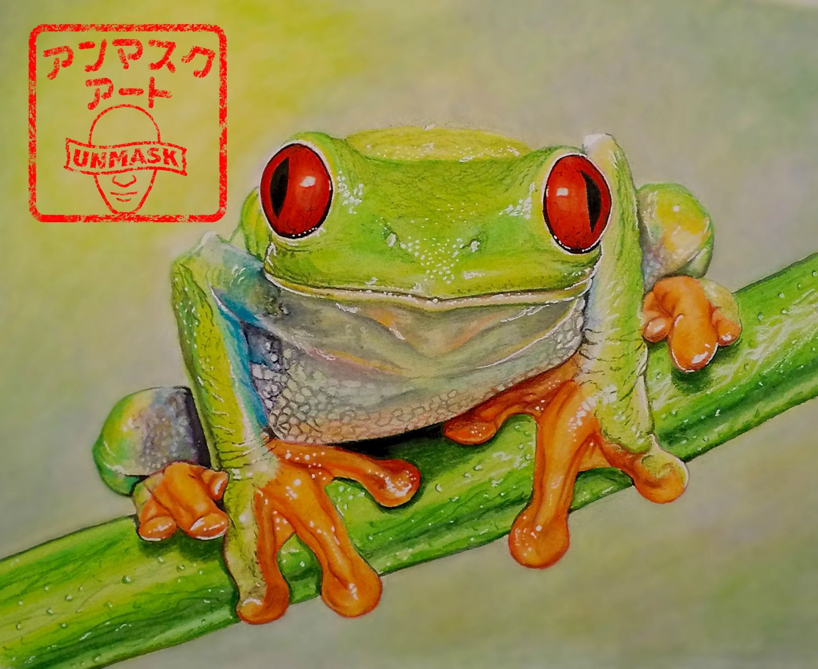 1601x1309 Drawing Of Red Eyed Tree Frog - Green Frog Drawing