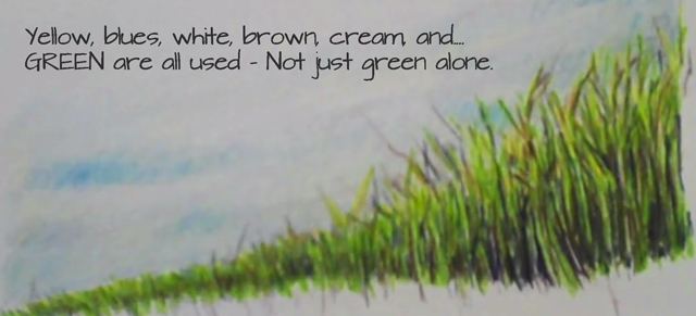 640x291 Draw Grass With Many Colors Not Just Green - Green Grass Drawing