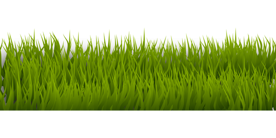 900x450 Green Grass, Drawing On A Transparent Background - Green Grass Drawing