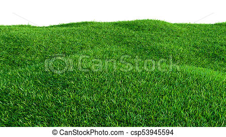 450x273 Green Grass Field Isolated On White Background Illustration - Green Grass Drawing