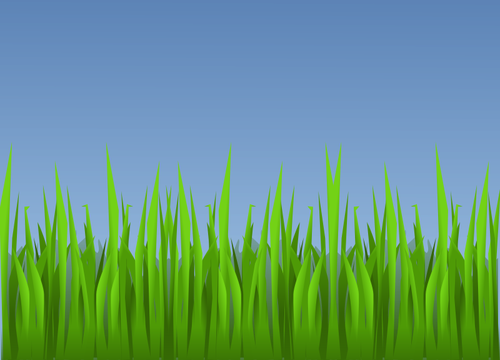 500x360 Green Grass Vector Drawing - Green Grass Drawing