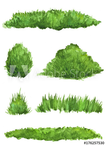 364x500 watercolor drawing pieces of green grass and bushes - Green Grass Drawing