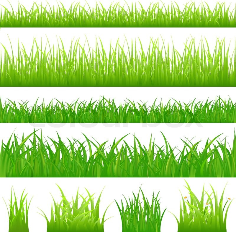 800x784 Backgrounds Of Green Grass And Stock Vector Colourbox - Green Grass Drawing