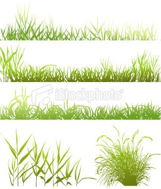 325x380 Collection Of Meadows, Traced From My Photos In How - Green Grass Drawing