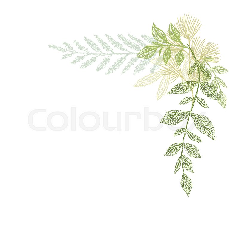 800x800 floral hand drawing, green leaf corner stock vector colourbox - Green Leaf Drawing
