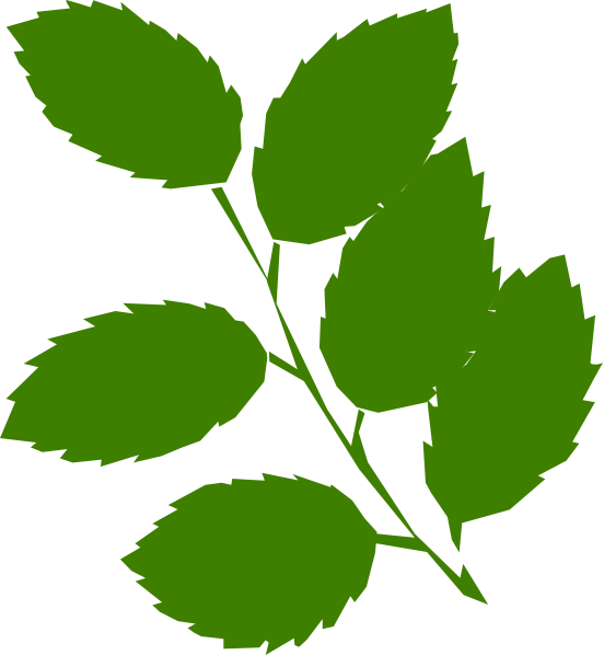 552x598 Green Leaves Clip Art - Green Leaf Drawing