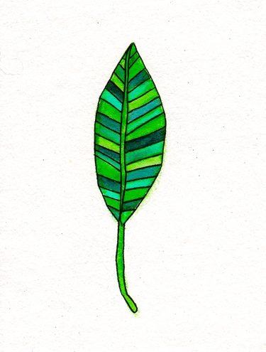 375x495 a green leaf blue bicicletta - Green Leaf Drawing