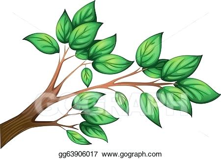 450x324 tree branch with leaves drawing a branch of a tree with leaves - Green Leaf Drawing