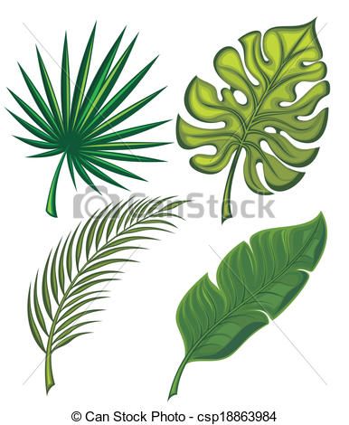 386x470 green tropical leaf drawing - Green Leaf Drawing