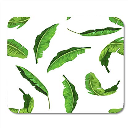 425x425 nakamela mouse pads drawing green leaf realistic - Green Leaf Drawing