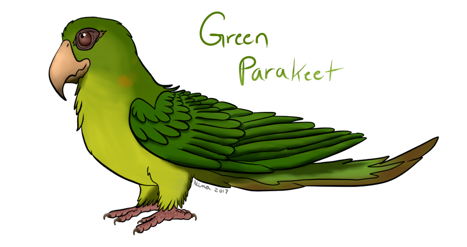 Green Parrot Drawing