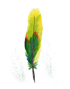 236x300 Green Parrot Drawings Fine Art America - Green Parrot Drawing