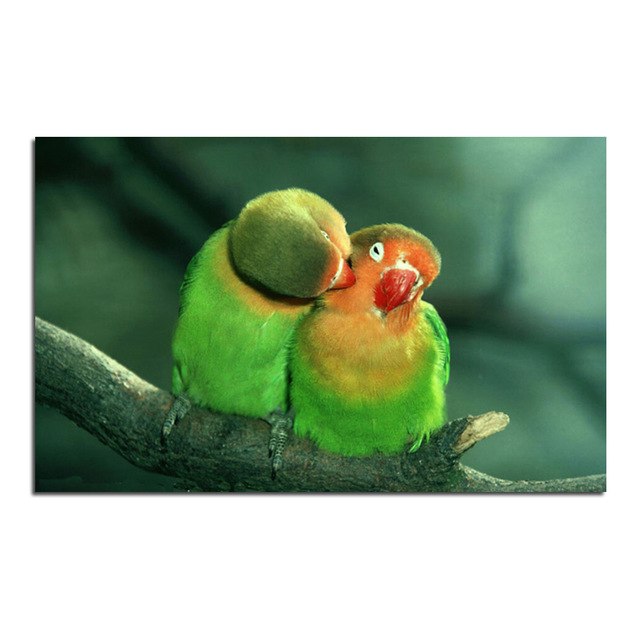 640x640 Green Parrot Couples Cross Stitch Diy Full Diamond Drawing - Green Parrot Drawing