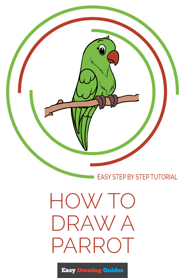 600x900 How To Draw A Parrot - Green Parrot Drawing