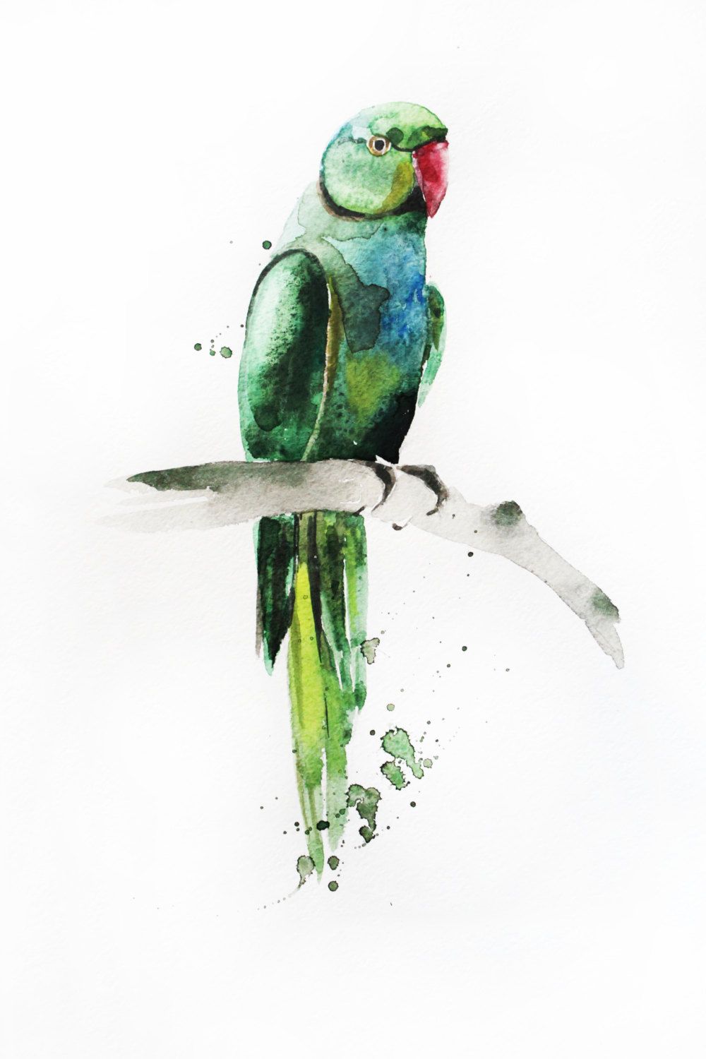 1000x1500 original watercolor painting, parrot bird, green parrot, painting - Green Parrot Drawing