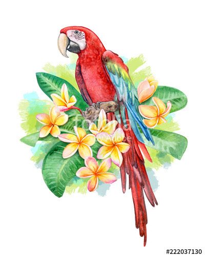 400x500 Red And Green Winged Macaw Parrot Birds Sitting In Frangipani - Green Parrot Drawing