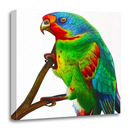 Green Parrot Drawing at PaintingValley.com | Explore collection of ...