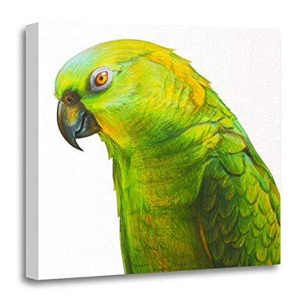 425x425 Emvency Canvas Prints Square Inches Yellow - Green Parrot Drawing