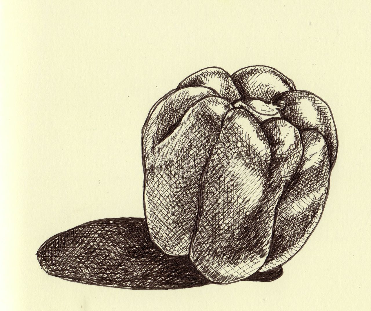 1280x1072 drawing on nature day sole pepper - Green Pepper Drawing