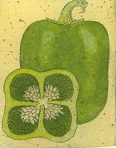 236x300 green pepper drawing ideas in stuffed peppers, stuffed - Green Pepper Drawing