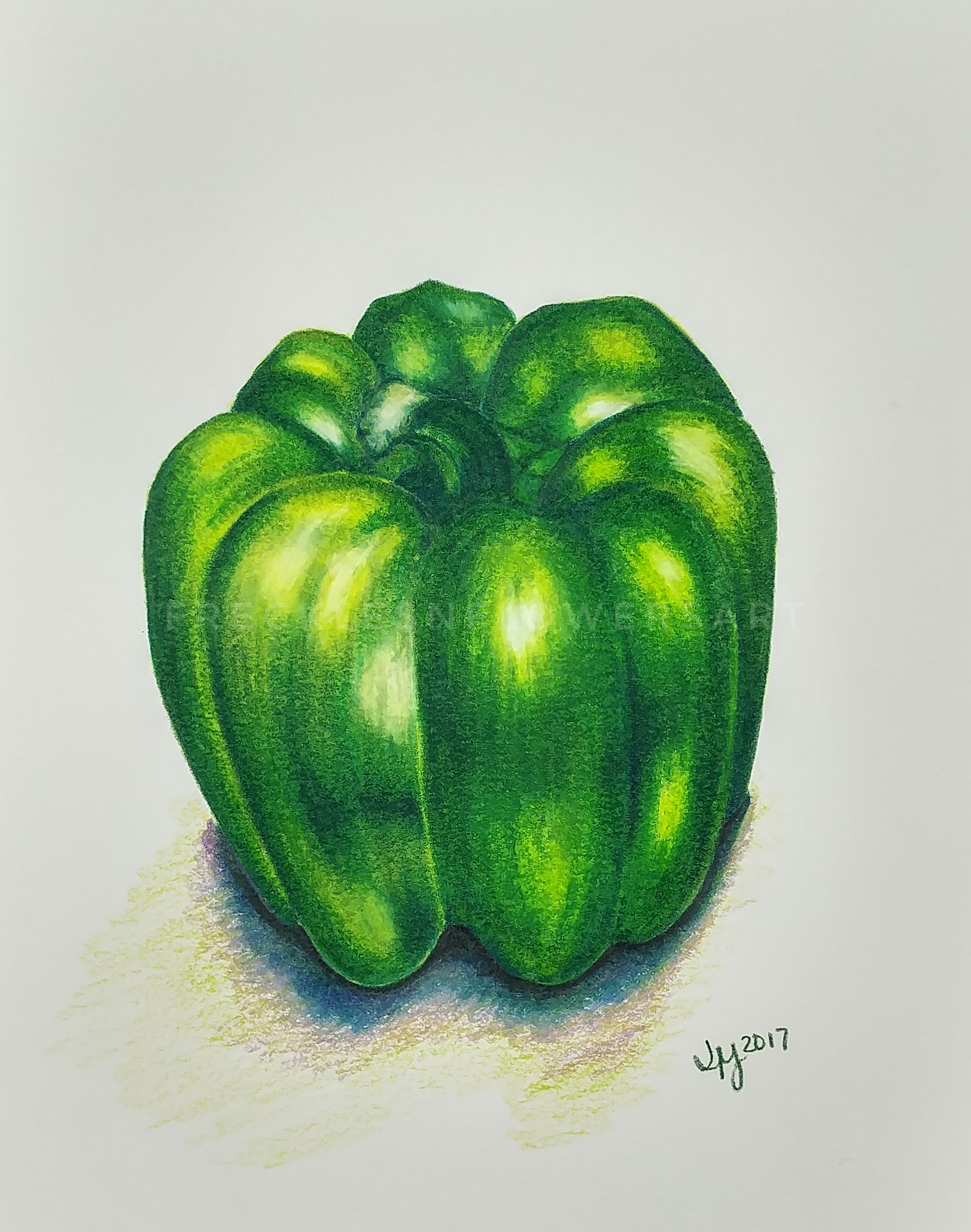1778x2256 Green Pepper Eclectic Art - Green Pepper Drawing
