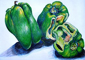 300x212 green peppers drawings fine art america - Green Pepper Drawing