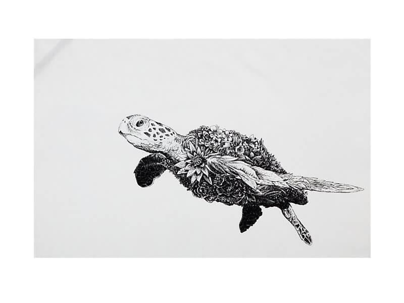 800x600 Marini Ferlazzo Tea Towel Green Sea Turtle Maxwell - Green Sea Turtle Drawing