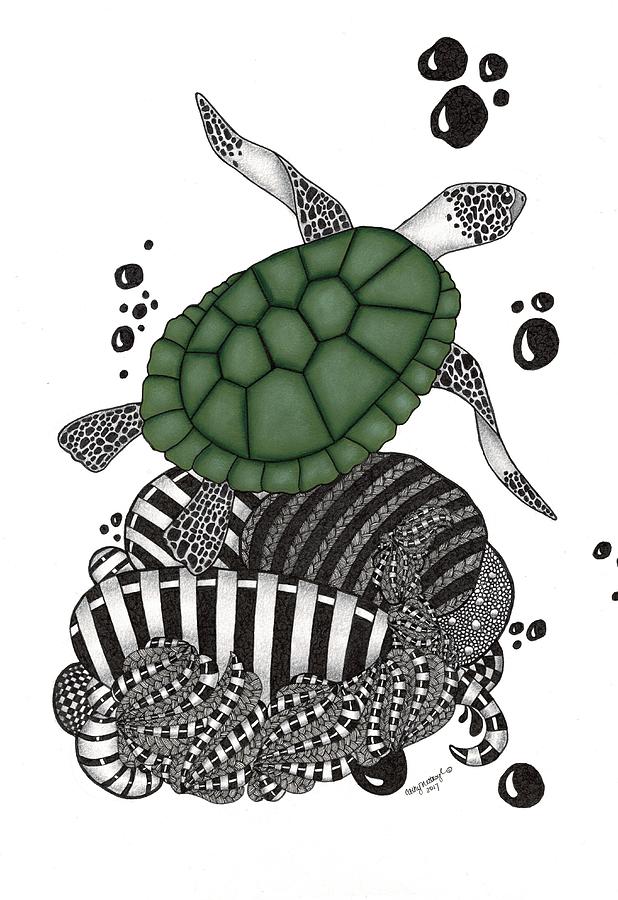 618x900 Green Sea Turtle Drawing - Green Sea Turtle Drawing