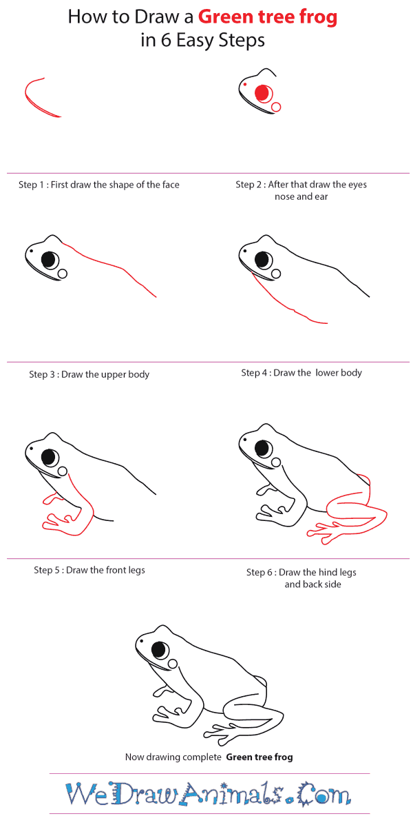 600x1200 How To Draw A Green Tree Frog - Green Tree Frog Drawing