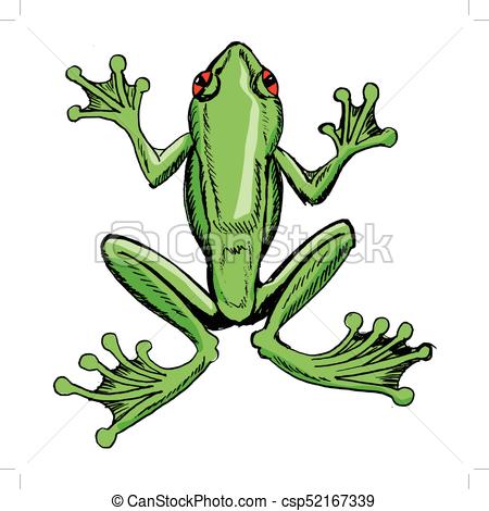 450x470 Sketch Of Tree Frog, Illustration Of Wildlife, Zoo, Animals - Green Tree Frog Drawing