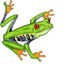 236x214 Tree Frog Drawing - Green Tree Frog Drawing
