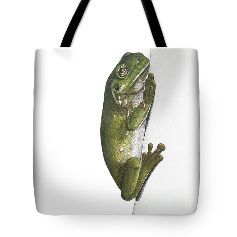 1000x1000 Australian Green Tree Frog Tote Bag For Sale - Green Tree Frog Drawing