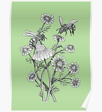 210x230 Greenery Drawing Posters Redbubble - Greenery Drawing