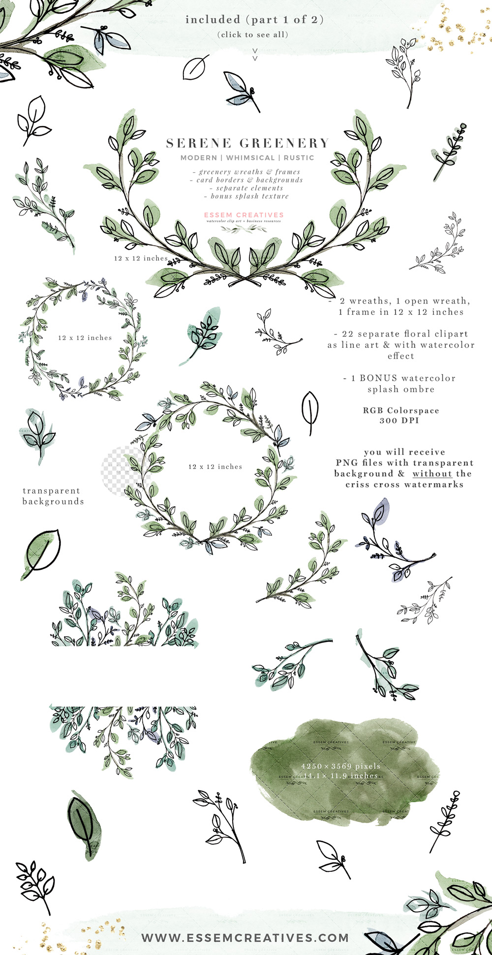 1000x1941 Serene Greenery Watercolor Leaves Clipart, Rustic Botanical Line - Greenery Drawing