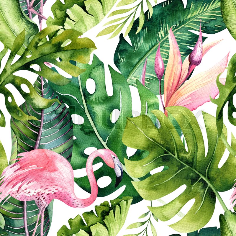 800x800 Tropical Isolated Seamless Pattern With Stock Photo Colourbox - Greenery Drawing