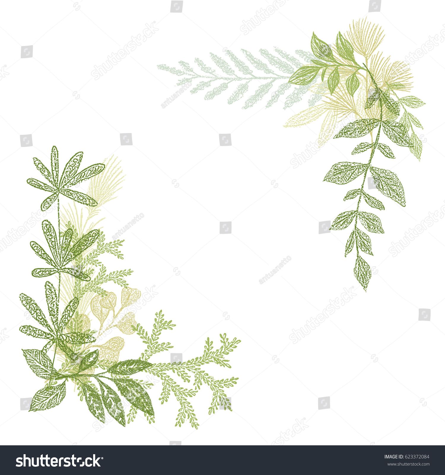 1500x1600 Floral Hand Drawing, Green Leaf Composition Vector Greenery - Greenery Drawing