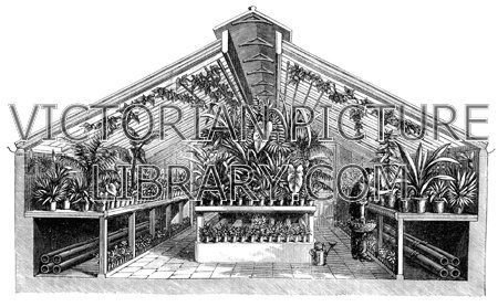 450x278 greenhouse, cut away drawing victorian picture library - Greenhouse Drawing