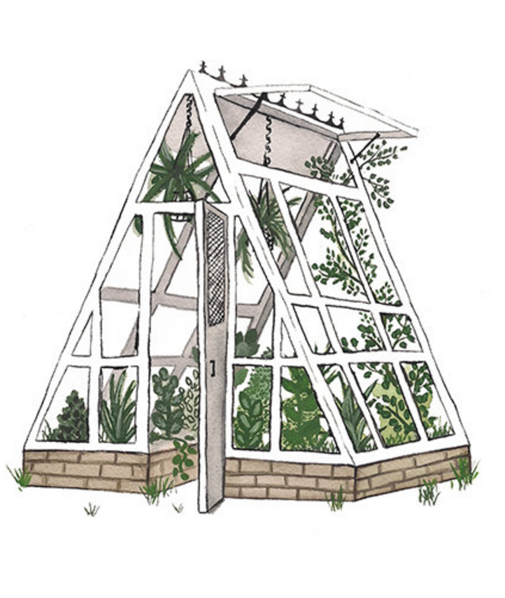 722x856 greenhouse illustration illustration in landscape - Greenhouse Drawing
