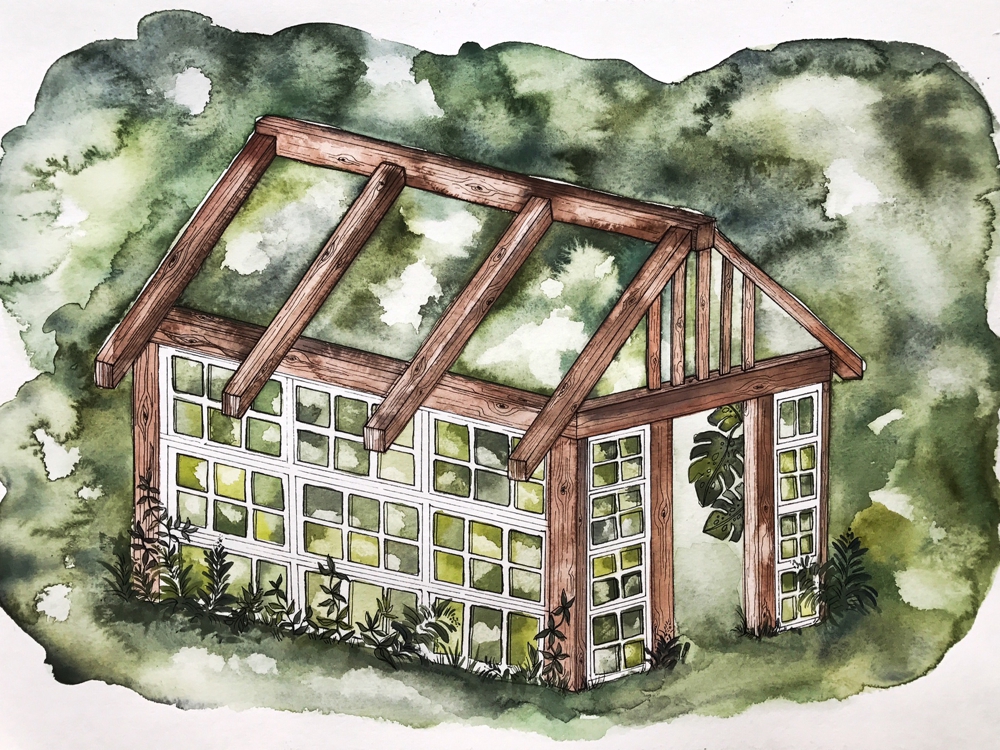 Greenhouse Drawing at Explore collection of