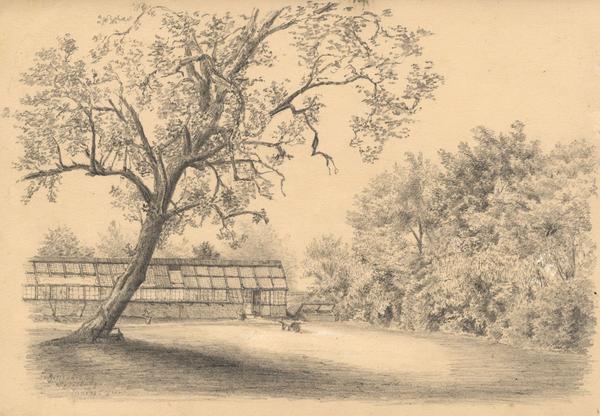 600x416 adeline frances mary dart, bellevue greenhouse, salisbury - Greenhouse Drawing