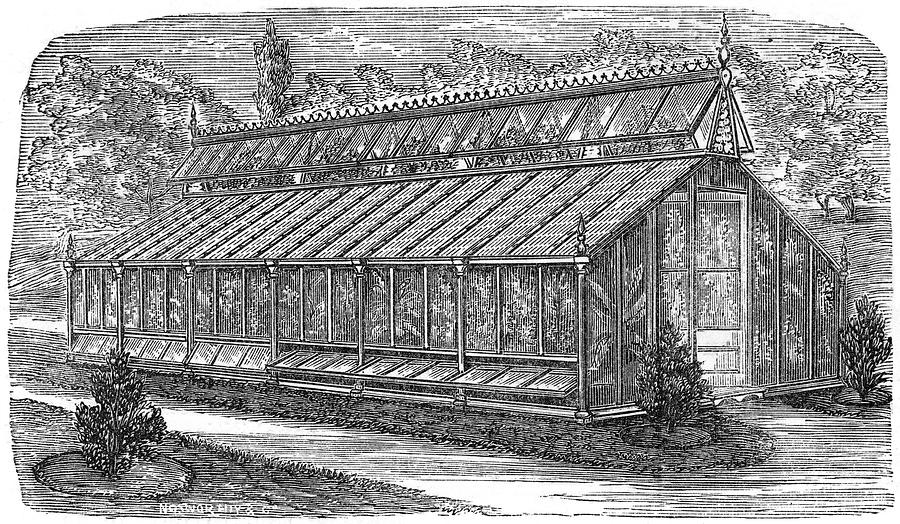 900x524 beard's greenhouse date circa drawing - Greenhouse Drawing