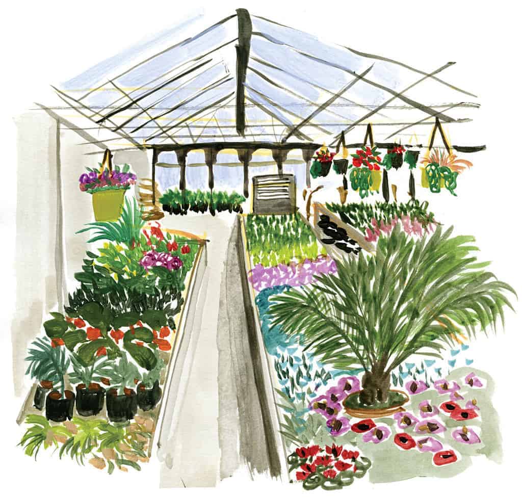 Greenhouse Drawing at Explore collection of