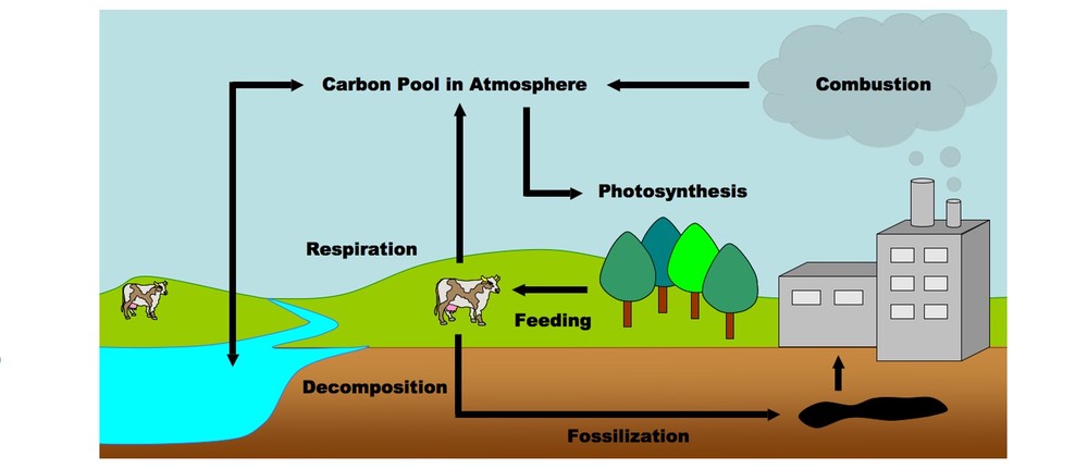 1000x431 The Greenhouse Effect Bioninja - Greenhouse Effect Drawing
