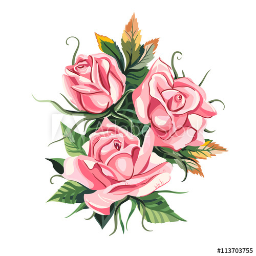 500x500 pink roses wedding drawing greeting card flower backdrop - Greeting Card Drawing
