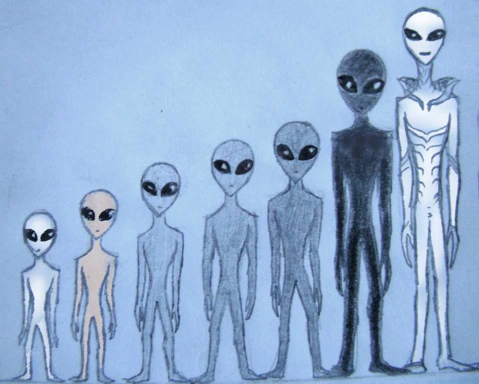 960x771 grey aliens type and rating sketch - Grey Alien Drawing